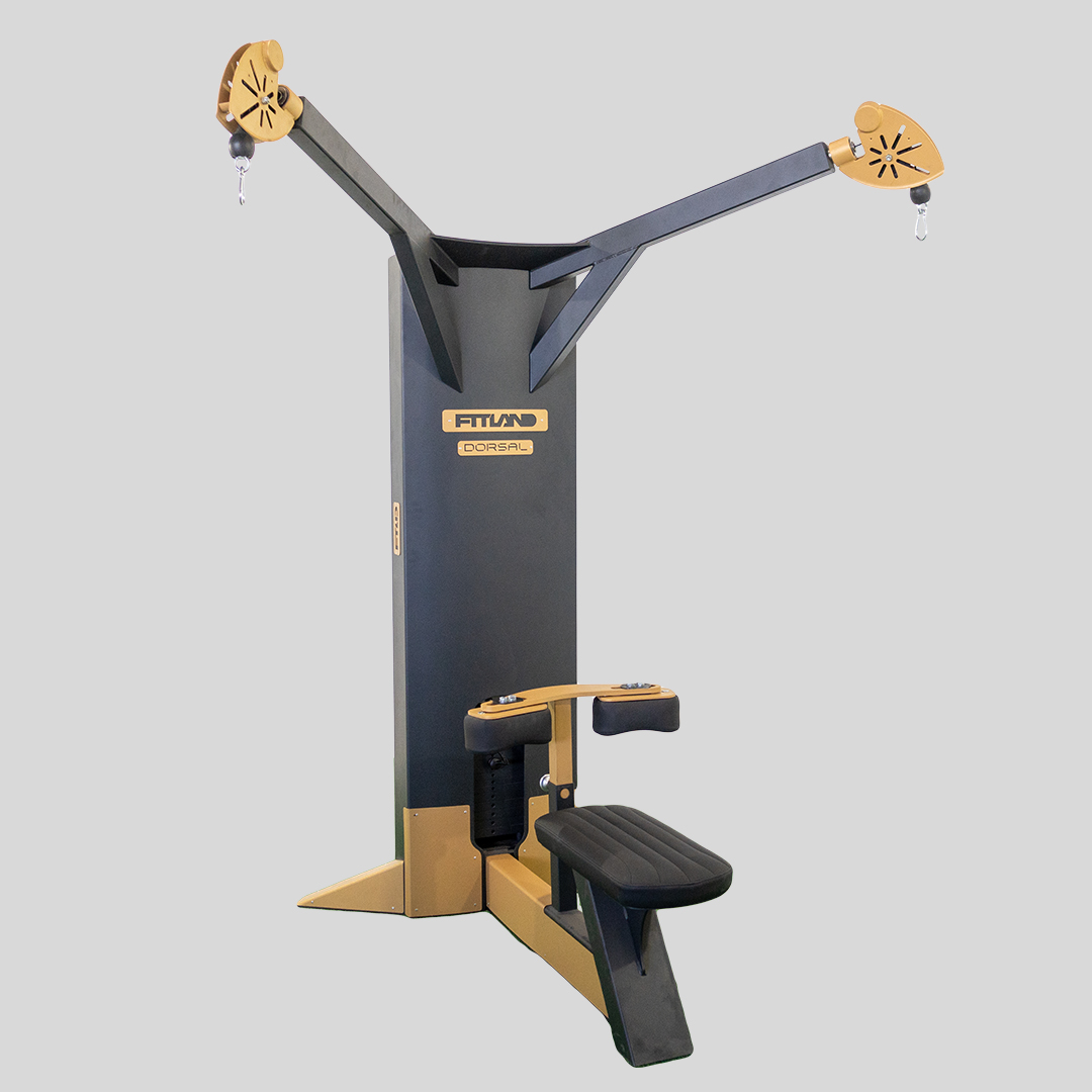 Dual Cable Lat Pulldown